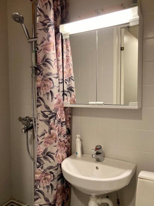 Apartmán Viehaettaevae Asunto Heinolan Keskustassa Exteriér fotografie